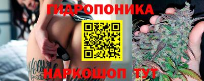 трава Лесосибирск