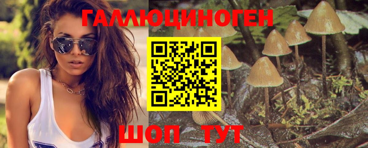 Галлюциногенные грибы прущие грибы Качканар