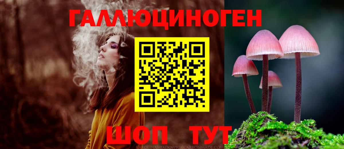 Качканар  Галлюциногенные грибы прущие грибы  Вход с VPN 
